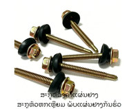 Vis autoperceuses galvanisées à tête hexagonale avec rondelle en caoutchouc pour toitures métalliques au Laos, emballage en sacs/boîtes