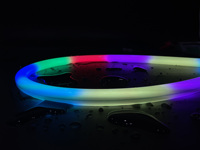 Bande LED néon flexible et pliable BERIXDEEP RGBIC incurvée 16 points d'éclairage supérieur 24V étanche adressable pour extérieur