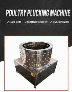 Meilleur prix pour une machine à plumer les poulets industrielle, pour usage domestique ou commercial - Product Image 5