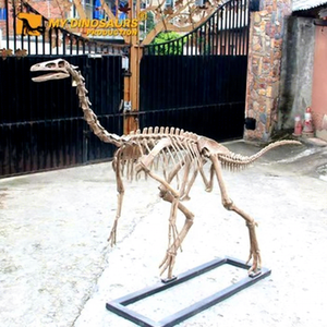 Mon squelette d'animal préhistorique éducatif fait main haute <span class=keywords><strong>simulation</strong></span> Dino <span class=keywords><strong>DS</strong></span>-118 - Product Image 1