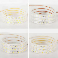 Guirlandes lumineuses LED intelligentes haute tension pour extérieur, double rangée, triple rangée, étanches 12 mm IP65, tricolores