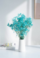 Karangan Bunga Baby's Breath Kering Alami Grosir, Gypsophila Awet Berwarna-warni untuk Dekorasi Pernikahan, Hadiah Hari Ibu