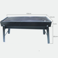 Mini Grill Portable ultraléger de haute qualité pour famille, pique-nique en plein air, Camping, Barbecue, Barbecue au charbon, foyer en bois