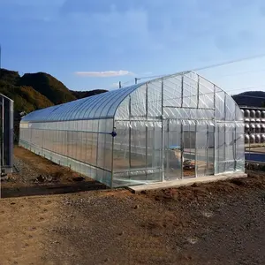 30 x 100 tunnel strawberry greenhouse