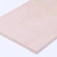 Contreplaqué en bois dur d'eucalyptus imperméable et résistant aux intempéries 4x8 pieds pour la décoration intérieure des bâtiments