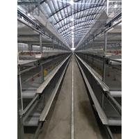 Cage d'élevage de poulets professionnelle pour ferme avicole, cage à poules pondeuses à 3 ou 4 niveaux, cage à poulets à vendre