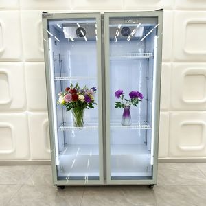 Fiori freschi conservazione fiori commerciali refrigeratore Display frigorifero con raffreddamento ad aria senza gelo e ripiani regolabili - Product Image 4
