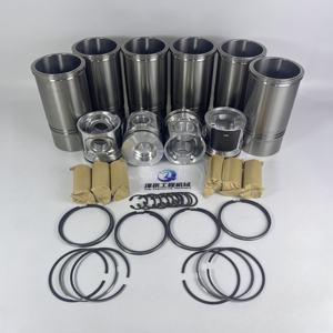 Parti del Kit di riparazione per bruco per Cummins per Isuzu per Volvo mitMitsubishi per Komatsu per Kubota Yanmar Jesse Bo per John per - Product Image 1