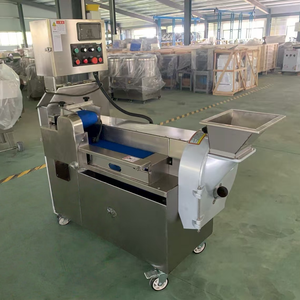 <span class=keywords><strong>Coupe</strong></span>-légumes professionnel multifonctionnel pour la transformation alimentaire industrielle, haute capacité, fonctionnement automatique - Product Image 3