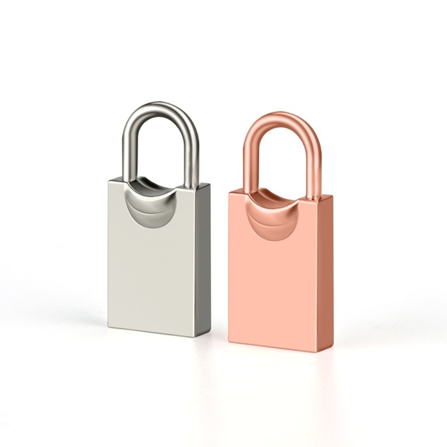 Creative 16g/32g/64g Mini Metal Lock USB Computer Storage Disk Cute 64G U Disk Lock Promotional USB 2.0/3.0 Usb Flash Drive