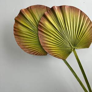 Feuilles de <span class=keywords><strong>palmier</strong></span> rondes à volants simples, feuilles de <span class=keywords><strong>Licuala</strong></span> Grandis, art floral, plantes artificielles, simulation de plantes pour la décoration intérieure - Product Image 3