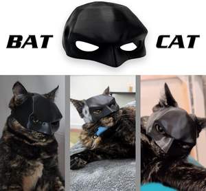 Yarasa kedi Avenger maske <span class=keywords><strong>Pet</strong></span> kostüm aksesuarları Cosplay giyim Fit çoğu kediler dekorasyon cadılar bayramı yarasa kedi maskesi şapka - Product Image 2