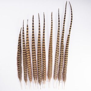 Bán Buôn Chất Lượng Cao 45-60Cm Tự Nhiên Ringneck Gà lôi Đuôi Lông Cho Fly Buộc Lễ Hội Trang Phục Mũ Ba Lô - Product Image 4