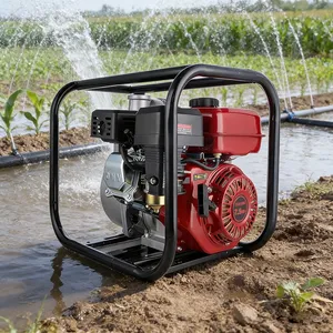 Pompe à <span class=keywords><strong>eau</strong></span> à moteur essence haute pression 2, 3, 4 pouces, 6,5 CV, 7,5 CV, moteur essence 170F <span class=keywords><strong>pour</strong></span> l'irrigation - Product Image 6