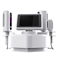 Machine professionnelle avancée LS0970Z à rouleaux internes pour l'élimination de la cellulite, système amincissant et raffermissant pour le corps