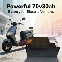BMS Terintegrasi untuk Keamanan, Dapat Disesuaikan untuk Baterai LiFePO4 72V 30Ah (EV 2/3 Roda)