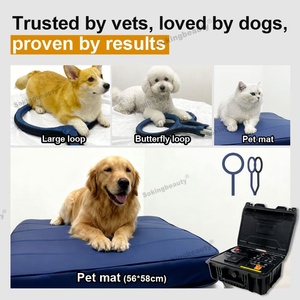 Macchina PEMF Portatile per Migliorare la Circolazione Sanguigna Locale, Calmare l'Umore e Ridurre la Rigidità per Animali Domestici - Product Image 4