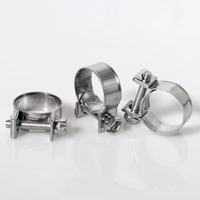 Factory Direct Sale Mini Hose Clamp Galvanized Iron and Stainless Steel for Heavy Industry & Auto Parts