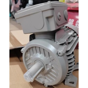 Lammers Ac Motor 22/427947/1 <b>Frameless</b> Industrial Use - Product Image 3
