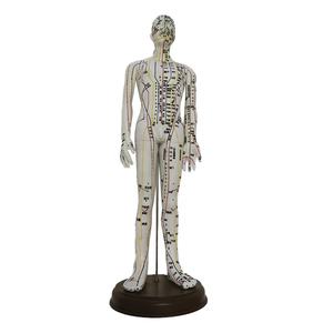 चीनी एक्यूपंक्चर प्रशिक्षण मॉडल सिलिकॉन एक्यूपंक्चर और मोक्सीबस्टन मॉडल - Product Image 1