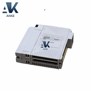 Módulo de salida analógica S1 Yokogawa de 1/2" - Product Image 1