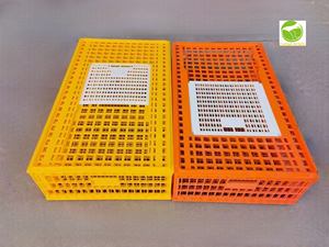 Büyük ölçekli tavuk çiftliği operasyonları için yüksek kapasiteli istiflenebilir kanatlı kasalar - Product Image 4