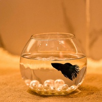 Aquarium en verre transparent circulaire miniature pour poissons rouges, poissons combattants, tortues, art, bureau, maison, petit salon
