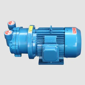 APCOM 100% copper wire portable vacuum pump positive displacement piston type vacuum pumps