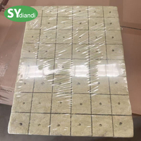 Shengding Plaque de culture hydroponique pour semis et clonage, système d'agriculture 50*50*50mm