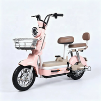 Vélo électrique universel 48V/60V 800W avec écran LCD, alarme antivol, vitesses, mise à niveau optionnelle du frein à disque arrière