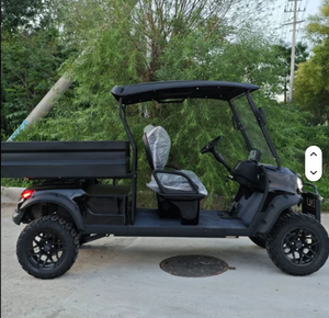 Carrito de Golf Eléctrico con Caja HKBG, Certificado por el DOT, Nuevo Carrito de Golf Eléctrico - Product Image 2