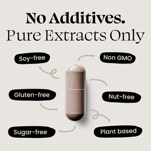 แคปซูลเห็ดหลินจือเสริมภูมิคุ้มกัน - Product Image 5