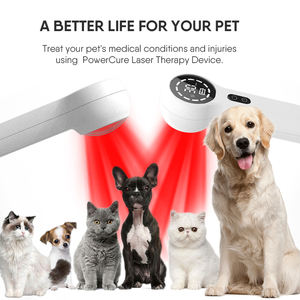 Laser Terapi <span class=keywords><strong>Fibromyalgia</strong></span>, Pereda Nyeri Otot Sendi, Terapi Tingkat Rendah Laser Dingin Inframerah - Product Image 4