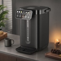 Distributeur d'eau électrique 5000 ml à pompage instantané, avec verrouillage de sécurité enfant, finition mate, pour résidences de luxe, directement du fournisseur B2B