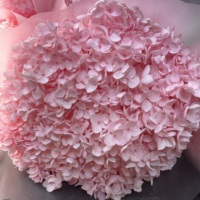 Sampel Gratis Bunga Asli Berkualitas Tinggi Pengawetan Gliserin Hydrangea Warna Kustom Ramah Lingkungan Tahan Lama Batang Hydrangea Besar MOQ Rendah