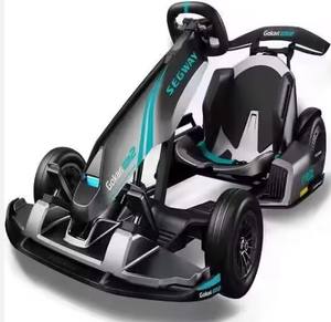 Vente à prix réduit 100% Kart électrique professionnel original pour adultes à grande vitesse-fabriqué aux États-Unis - Product Image 1
