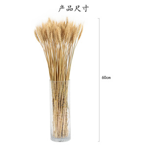 Bouquet d'épis de blé séchés Wen Hope, accessoires décoratifs naturels pour la maison et les mariages - Product Image 3