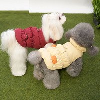 Veste chaude pour chien d'animal de compagnie à imprimé fraise adorable pour l'automne et l'hiver