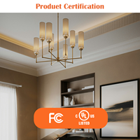 Ampoule LED T10A E26 2W 250lm à économie d'énergie de qualité supérieure, choix de luxe pour l'éclairage d'ambiance, la décoration élégante et l'éclairage nocturne