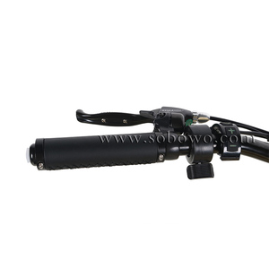 Mid Drive 250W 500W 750W Thành Phố Lốp Xe Đạp Điện Cổ Điển Xe Đạp Điện Retro - Product Image 4