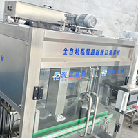 Machine de remplissage entièrement automatique pour liquides visqueux (huile et huile essentielle) Emballage en verre Capacité 200 ml Contrôlée par PLC