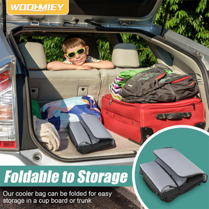 15L Portable Cooler Bag Car Cooler Watertight Liner Bag Soft Sided Thermoelectric Travel Cooler with Shoulder Strap - Product Image 5