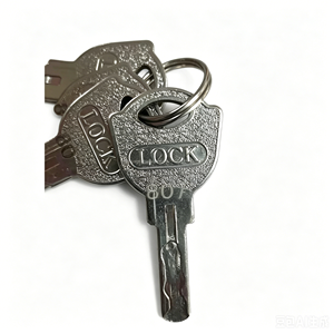 Serrures de sécurité supérieures en métal de qualité avec clés de différents modèles, kits de cadenas de sécurité en acier inoxydable pour machines de <span class=keywords><strong>jeu</strong></span> - Product Image 4