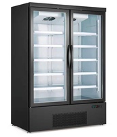 Congélateur réfrigérateur à 2 portes, réfrigérateur commercial pour boissons, vitrine industrielle à température unique, présentoirs de magasins, vitrine en verre avec ventilateur