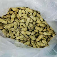 Arachides blanchies IQF de qualité supérieure, sans peau, pour la production de beurre d'arachide