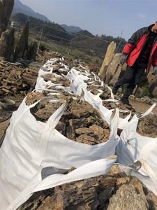 5 50cm fish tank dragon bone <strong>stone</strong> brown decorative <strong>stone</strong> for <strong>aquarium</strong> <strong>tiger</strong> <strong>aquarium</strong> <strong>tiger</strong> skin landscaping fish tank <strong>tiger</strong> <strong>aquarium</strong> YUNQI - Product Image 3