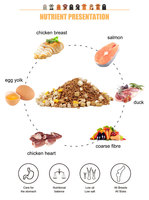 OEM/ODM, usine de fabrication d'aliments pour animaux de compagnie riches en protéines, vente en gros, diverses saveurs, aliments secs pour chats