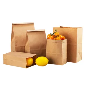 Wins Flying высокое качество пользовательского повторного использования коричневая бумага крафт пакеты для пищевых продуктов для упаковки бумажного мешка