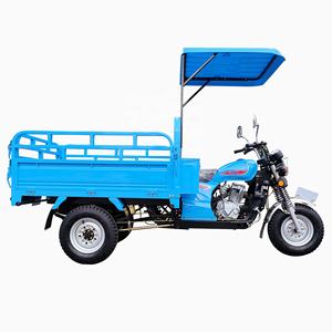 YAOLON Tricycle de Cargaison à Essence Motorisé pour Adultes, <span class=keywords><strong>Prix</strong></span> Promotionnel, Camion de Transport, Tuk-tuk - Product Image 4