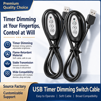Interrupteur minuterie avec câble de charge USB et contrôleur de temps de 6/12 heures, bouton de commande